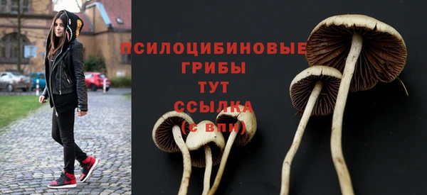метадон Беломорск