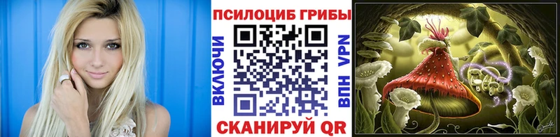 Галлюциногенные грибы Psilocybine cubensis  Минеральные Воды 